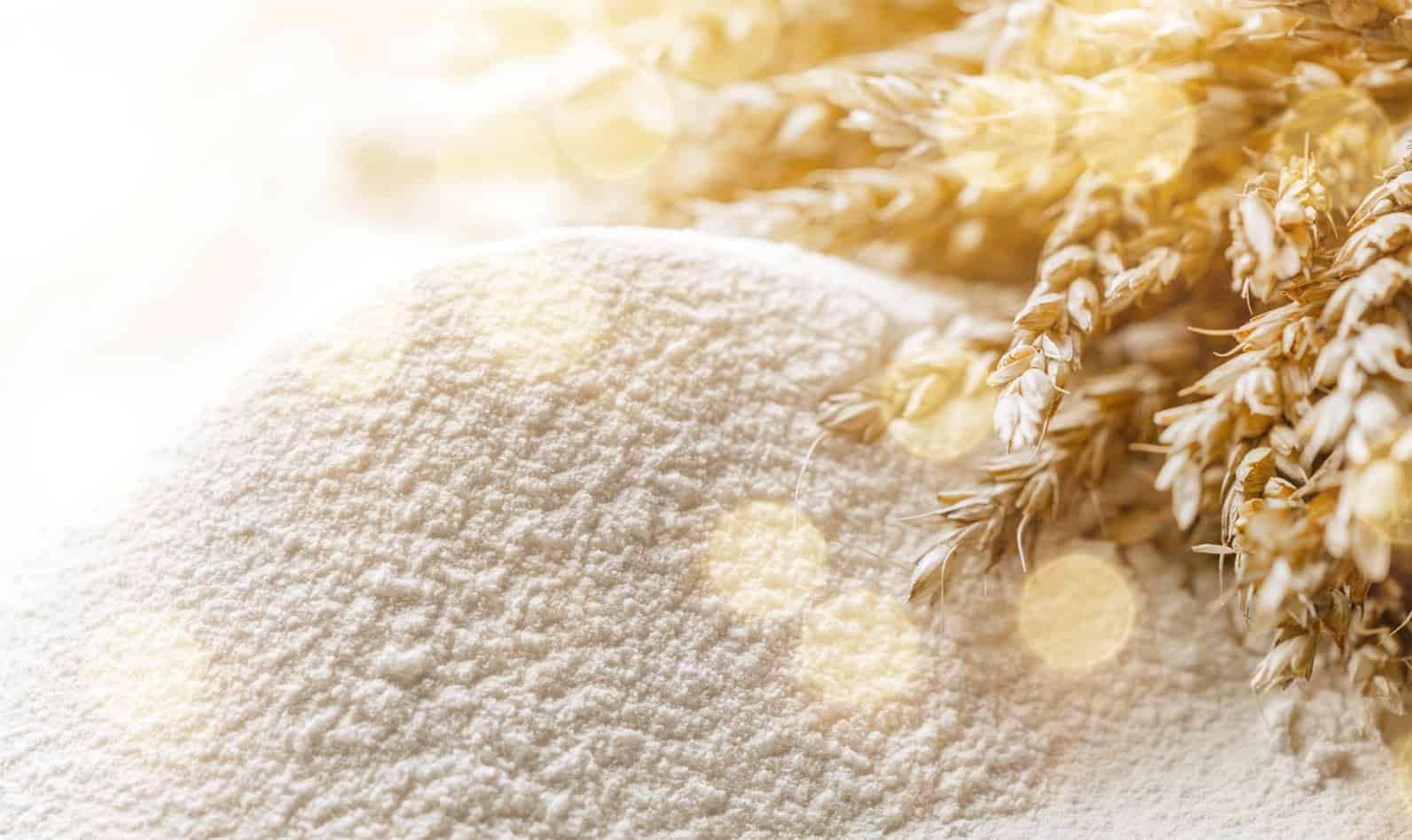 Gluten y Almidones